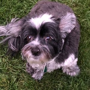 Meet your Posher, Laura